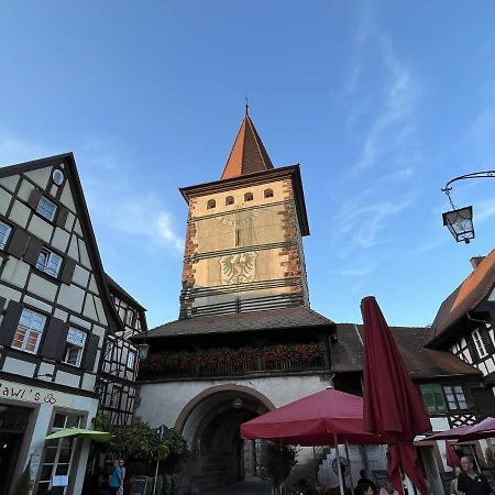 Апартаменти Coucou - Nest Im Schwarzwald Генгенбах Екстер'єр фото