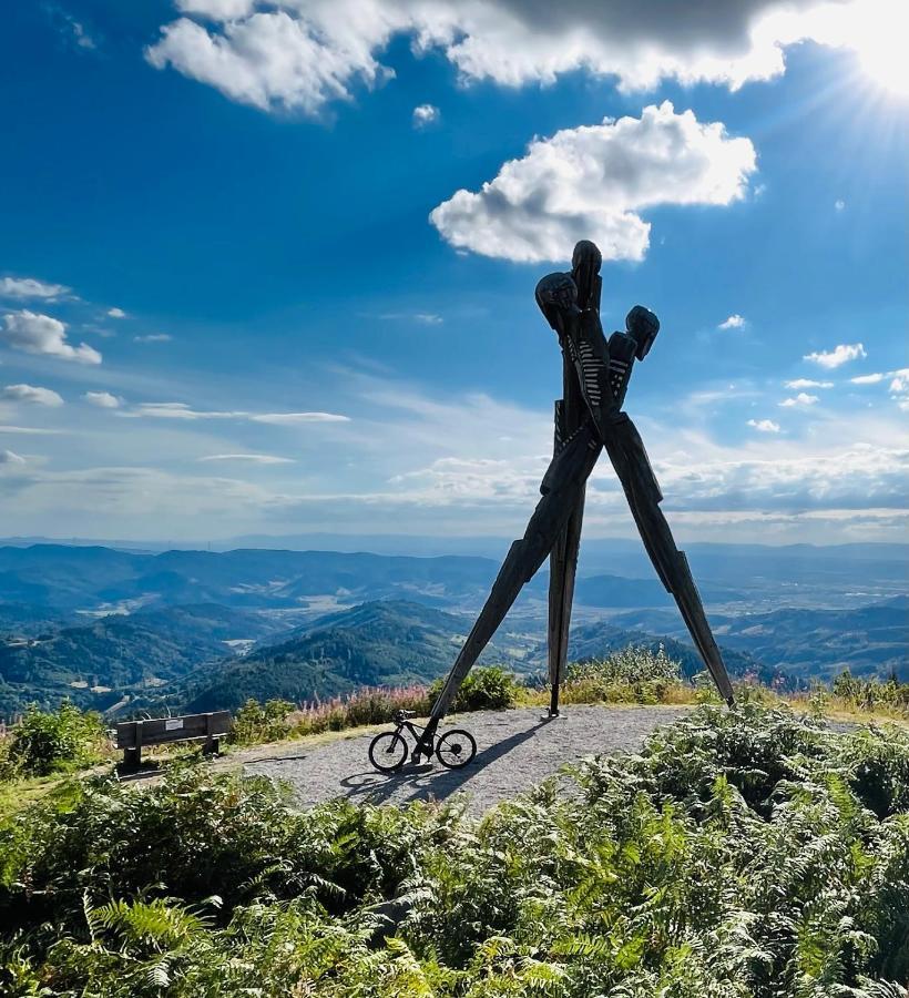 Апартаменти Coucou - Nest Im Schwarzwald Генгенбах Екстер'єр фото
